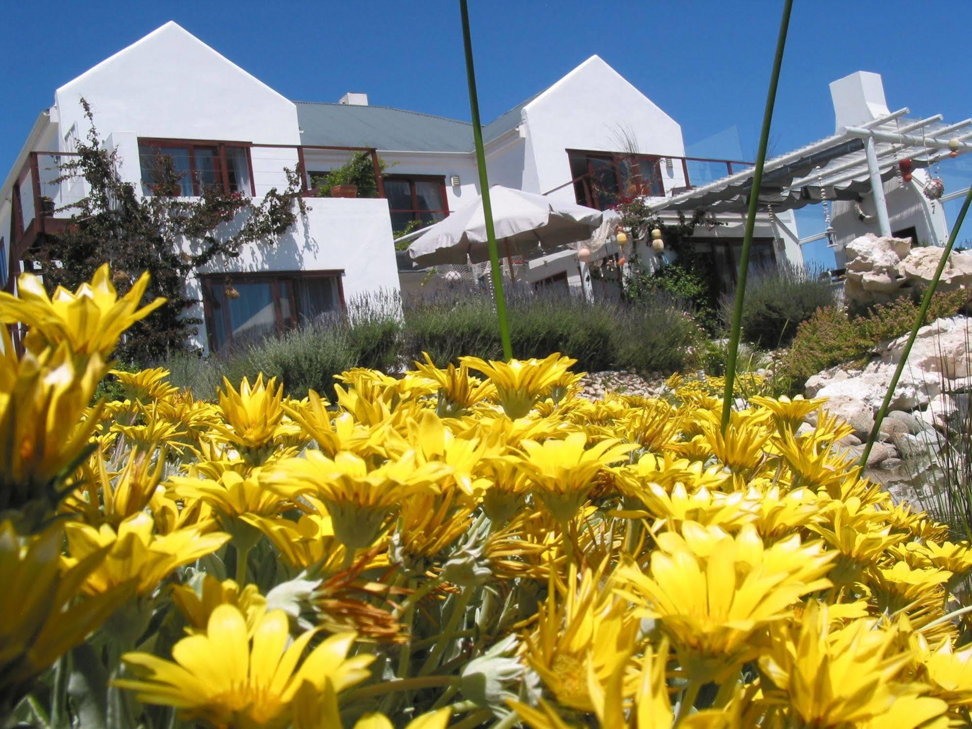 Farr Out Guest House Paternoster Exteriér fotografie